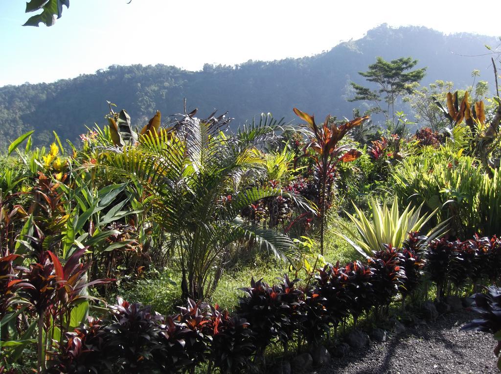 The Bukit Artha Bed and Breakfast Sidemen  Exteriör bild