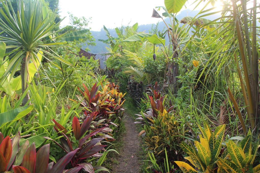 The Bukit Artha Bed and Breakfast Sidemen  Exteriör bild