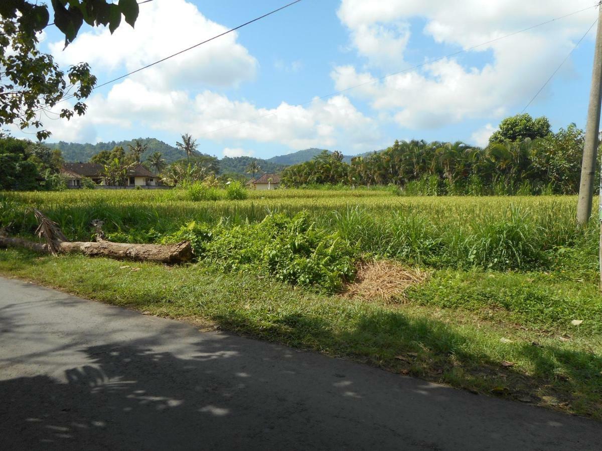 The Bukit Artha Bed and Breakfast Sidemen  Exteriör bild