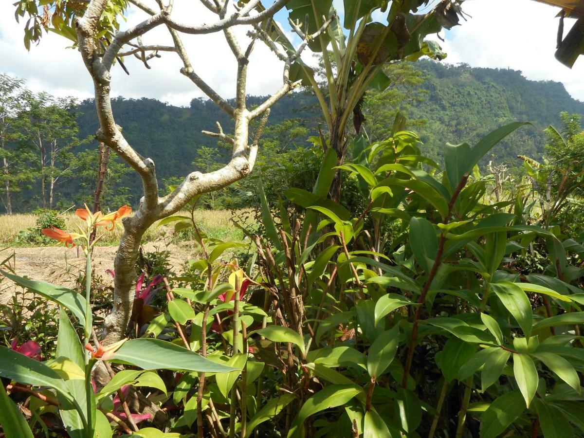 The Bukit Artha Bed and Breakfast Sidemen  Exteriör bild