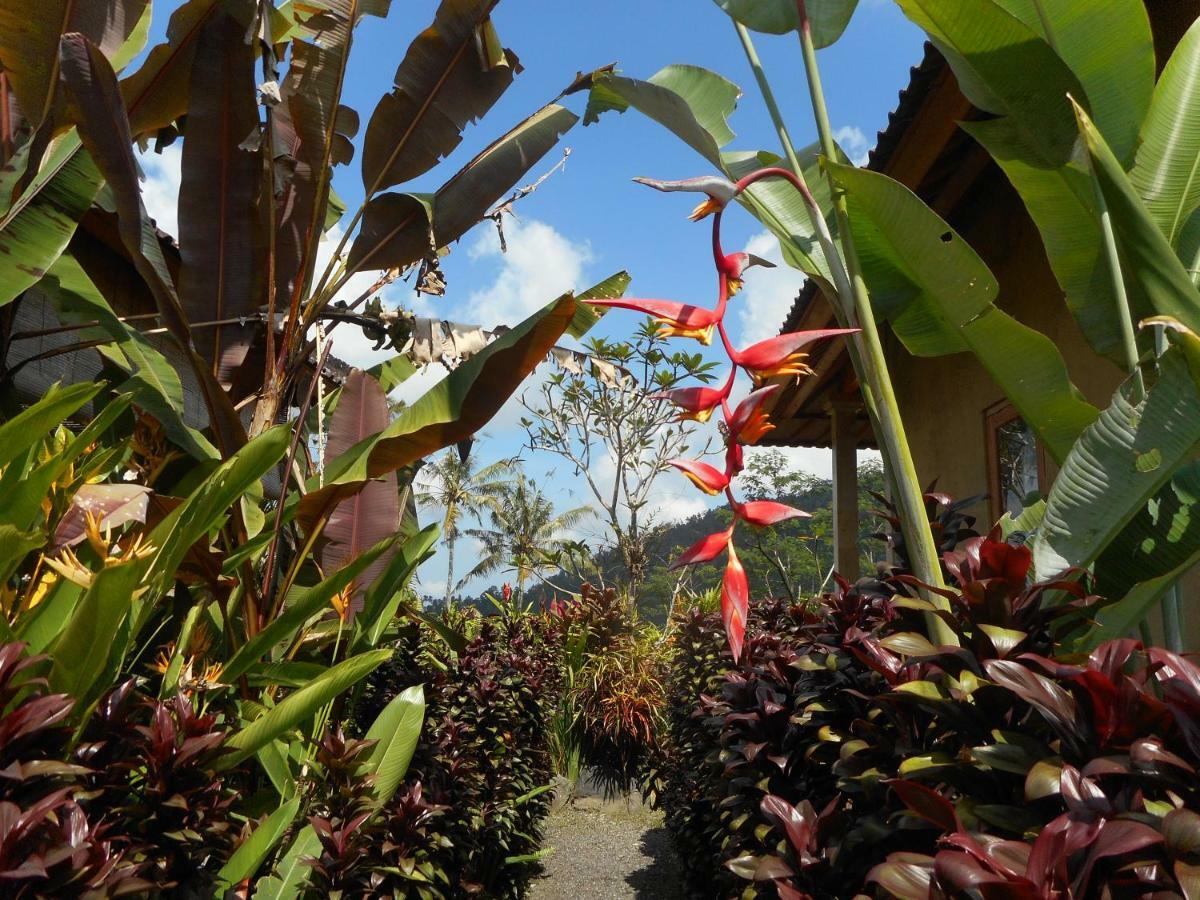 The Bukit Artha Bed and Breakfast Sidemen  Exteriör bild