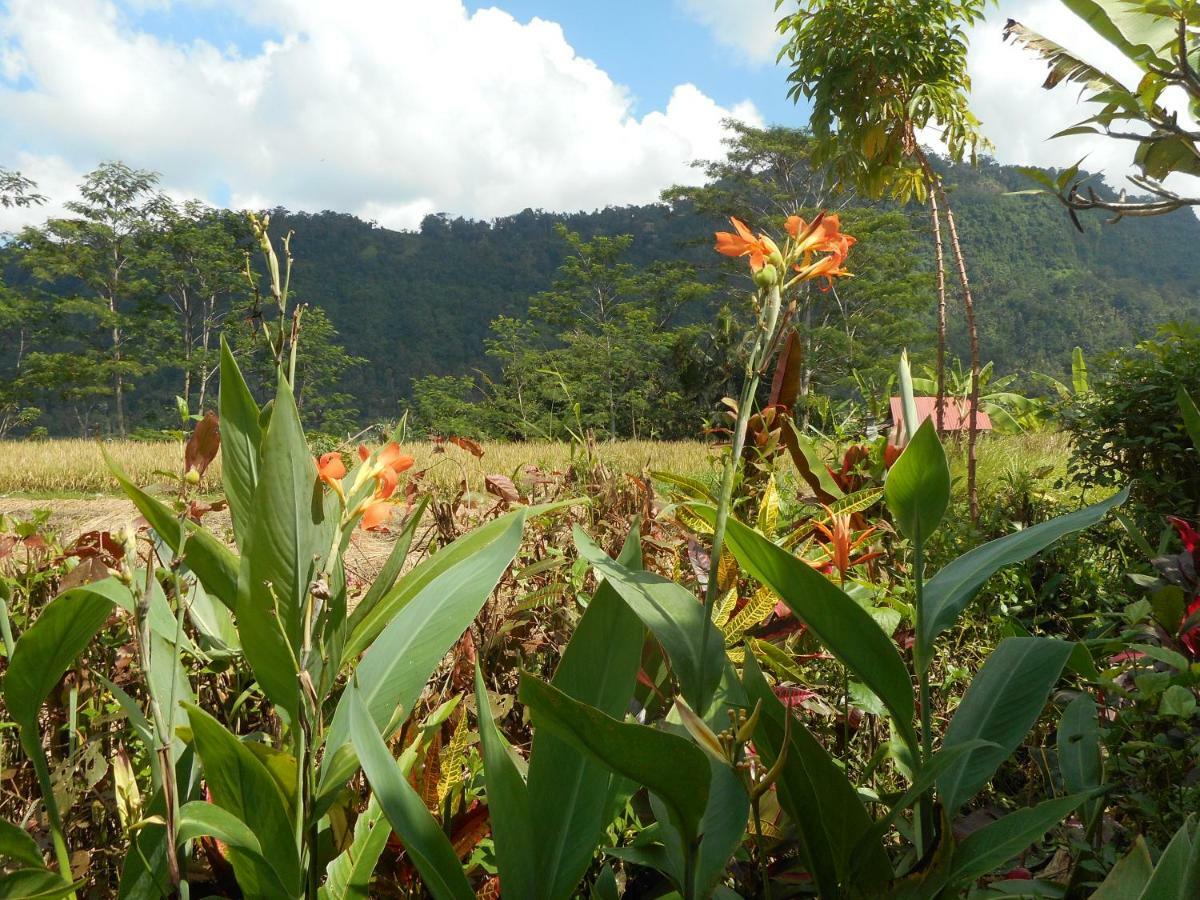 The Bukit Artha Bed and Breakfast Sidemen  Exteriör bild
