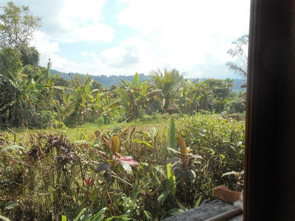 The Bukit Artha Bed and Breakfast Sidemen  Exteriör bild