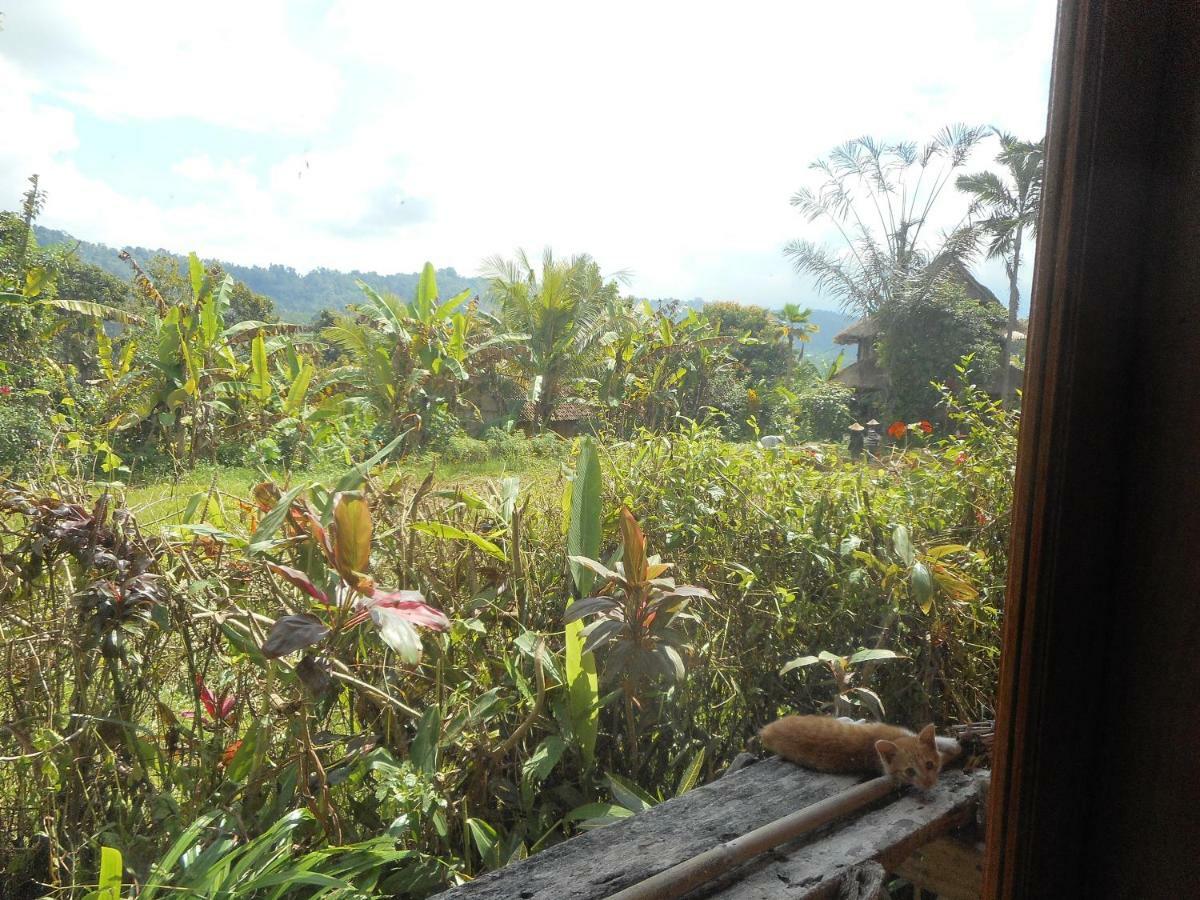 The Bukit Artha Bed and Breakfast Sidemen  Exteriör bild