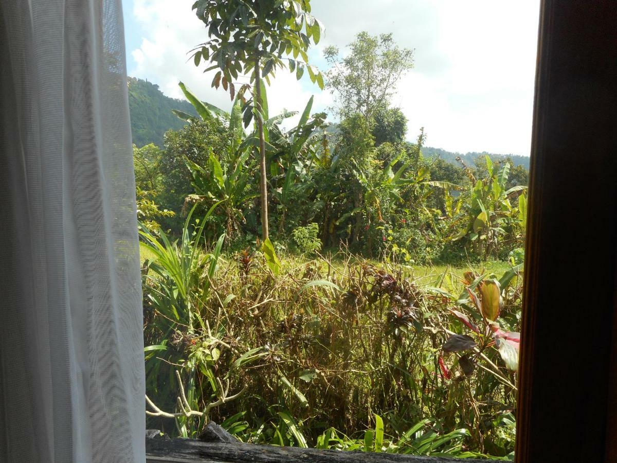 The Bukit Artha Bed and Breakfast Sidemen  Exteriör bild
